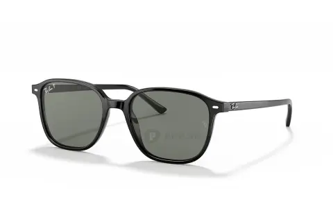 Ray-Ban Leonard RB2193F-901/58(55)