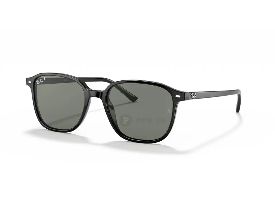 Ray-Ban Leonard RB2193F-901/58(55)