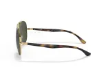 Ray-Ban RB3675-001/31(58)