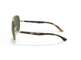 Ray-Ban RB3675-001/58(58)