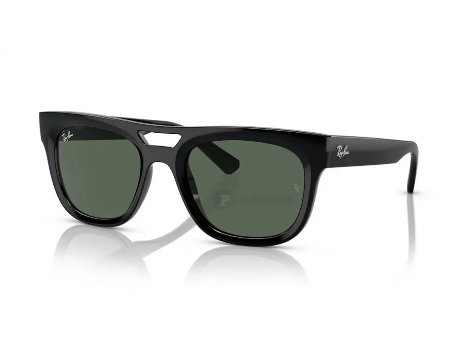 Ray-Ban Phil RB4426-6677/71(54)