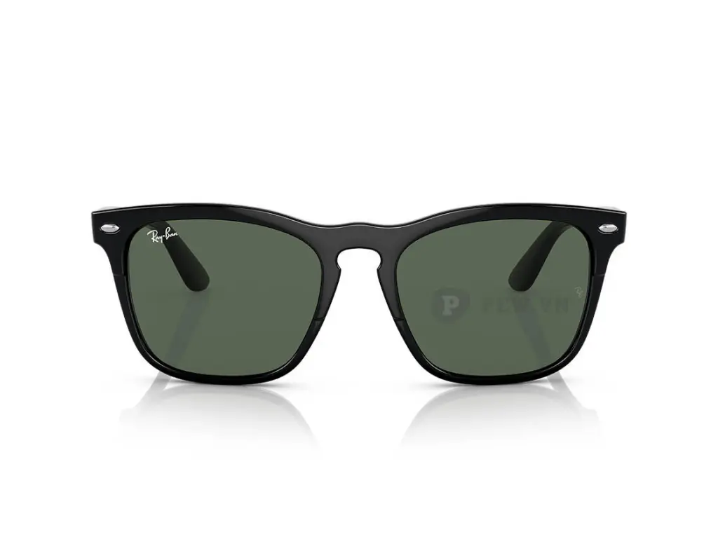 Ray-Ban Steve RB4487F-6629/71(54)