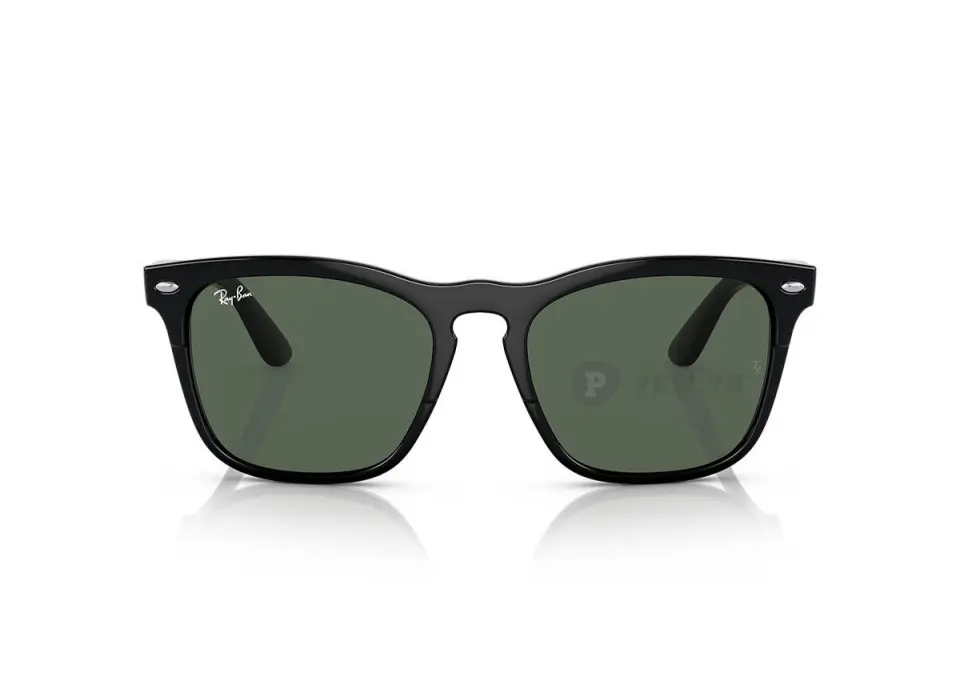 Ray-Ban Steve RB4487F-6629/71(54)
