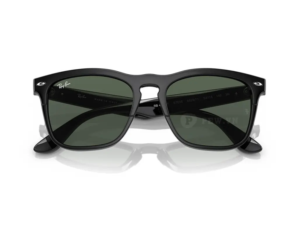 Ray-Ban Steve RB4487F-6629/71(54)