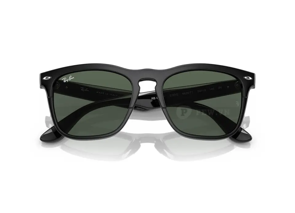 Ray-Ban Steve RB4487F-6629/71(54)