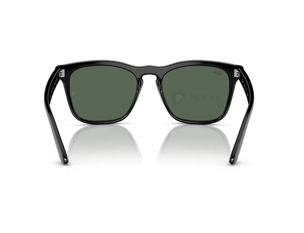 Ray-Ban Steve RB4487F-6629/71(54)