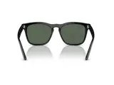 Ray-Ban Steve RB4487F-6629/71(54)