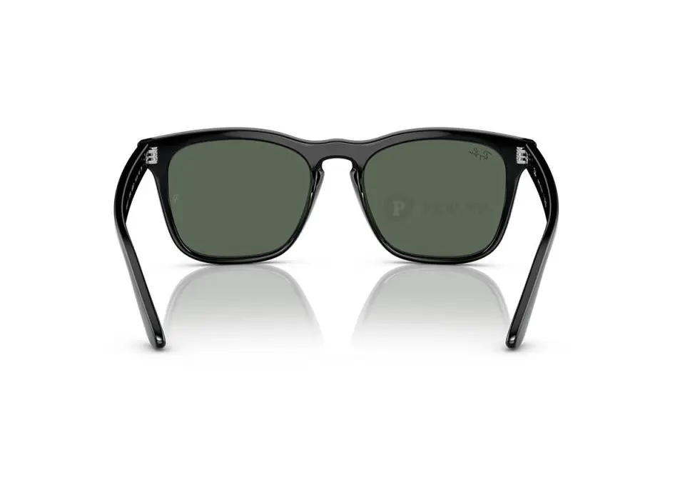 Ray-Ban Steve RB4487F-6629/71(54)