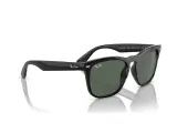 Ray-Ban Steve RB4487F-6629/71(54)