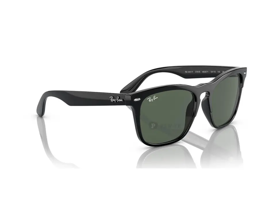 Ray-Ban Steve RB4487F-6629/71(54)