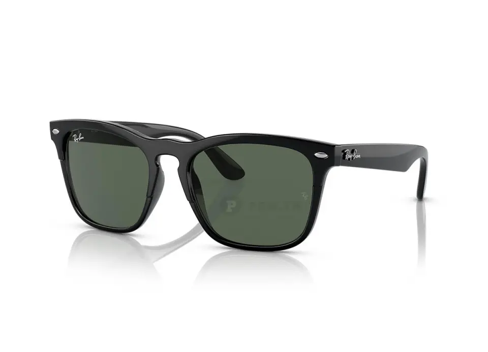 Ray-Ban Steve RB4487F-6629/71(54)