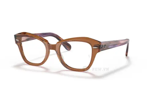 Ray-Ban State Street RX5486-8179(48)