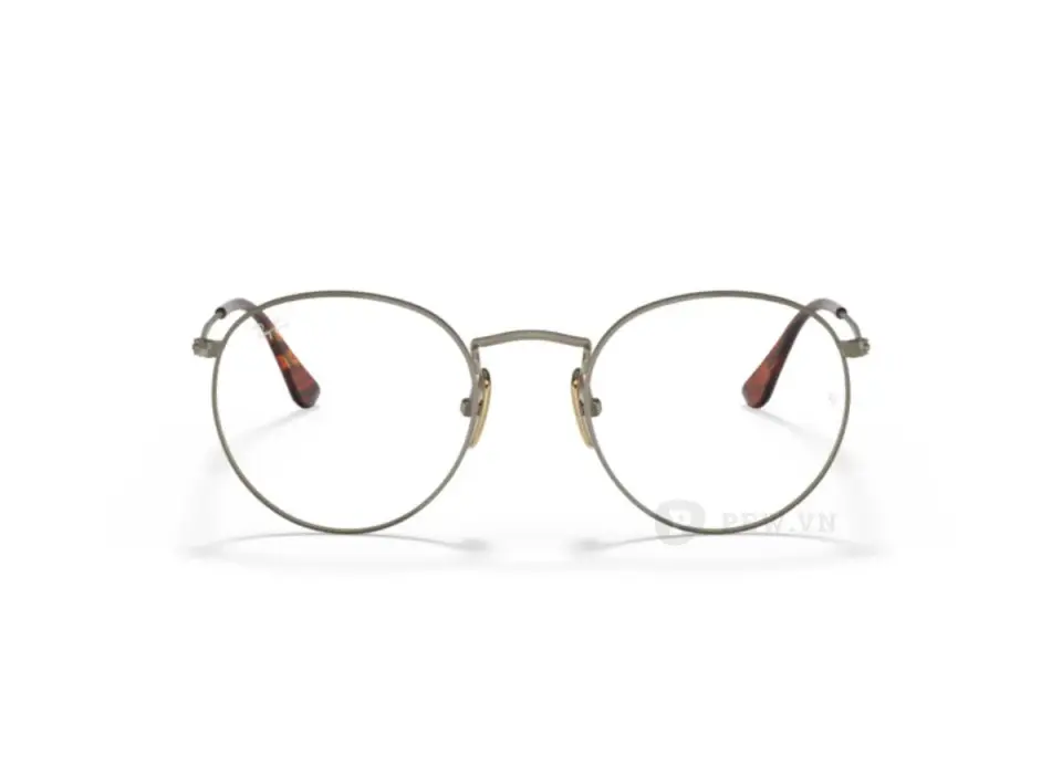 Ray-Ban Round Titanium RX8247V-1224(50)