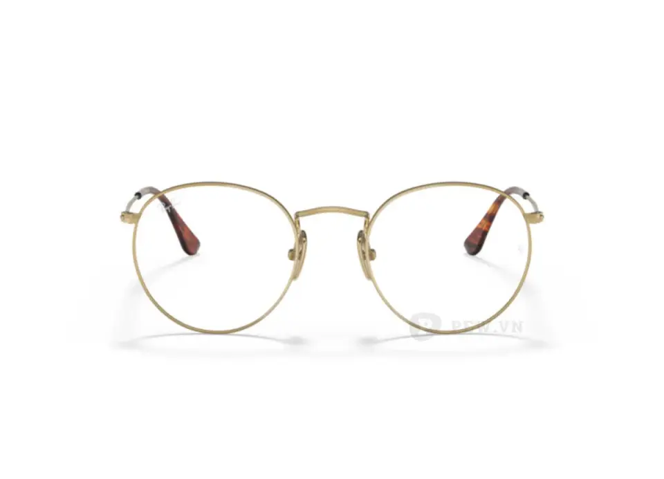 Ray-Ban Round Titanium RX8247V-1226(50)