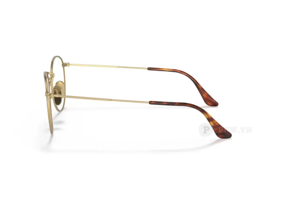 Ray-Ban Round Titanium RX8247V-1226(50)