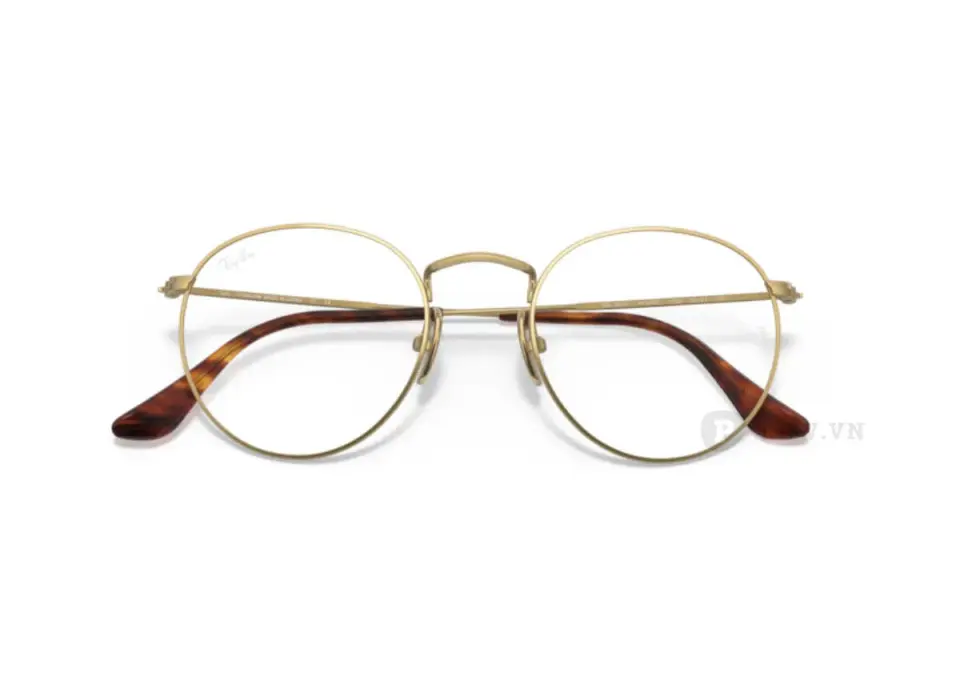 Ray-Ban Round Titanium RX8247V-1226(50)