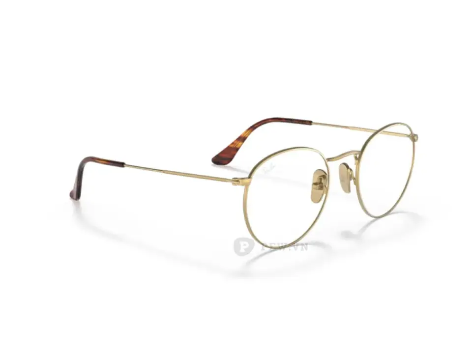 Ray-Ban Round Titanium RX8247V-1226(50)