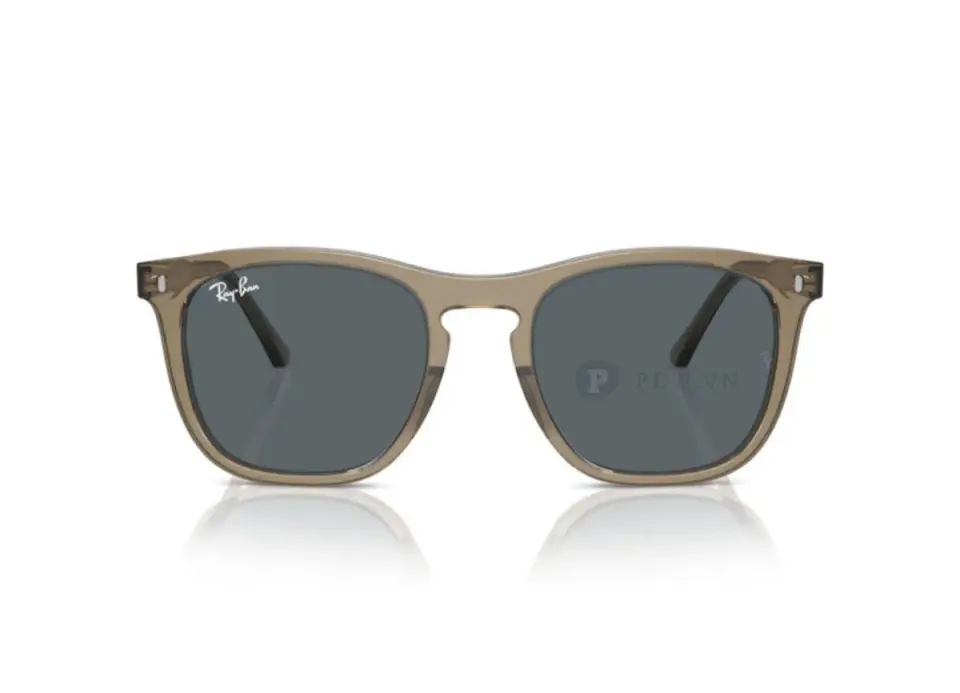 Ray-Ban RB2210F-6765/R5(53)