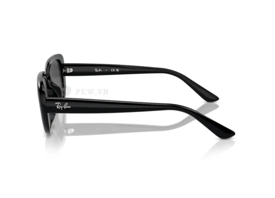 Ray-Ban RB4421D-6677/87(56)