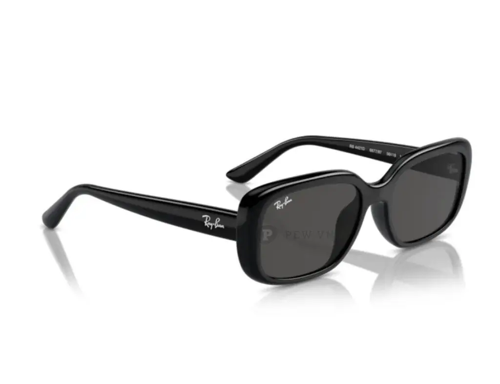 Ray-Ban RB4421D-6677/87(56)