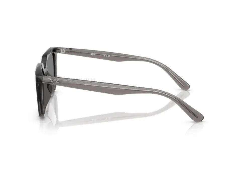 Ray-Ban RB4439D-6675/87(54)