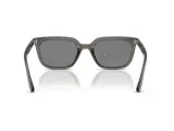 Ray-Ban RB4439D-6675/87(54)