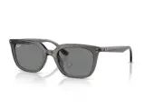 Ray-Ban RB4439D-6675/87(54)