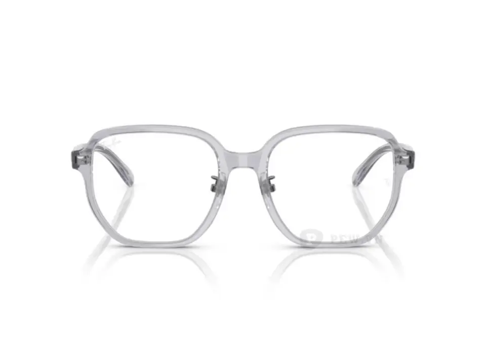 Ray-Ban RX5424D-8415(54)