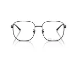 Ray-Ban RX6503D-2509(55)