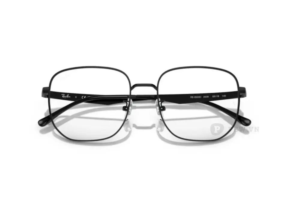 Ray-Ban RX6503D-2509(55)