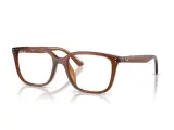 Ray-Ban RX7248D-8409(55)