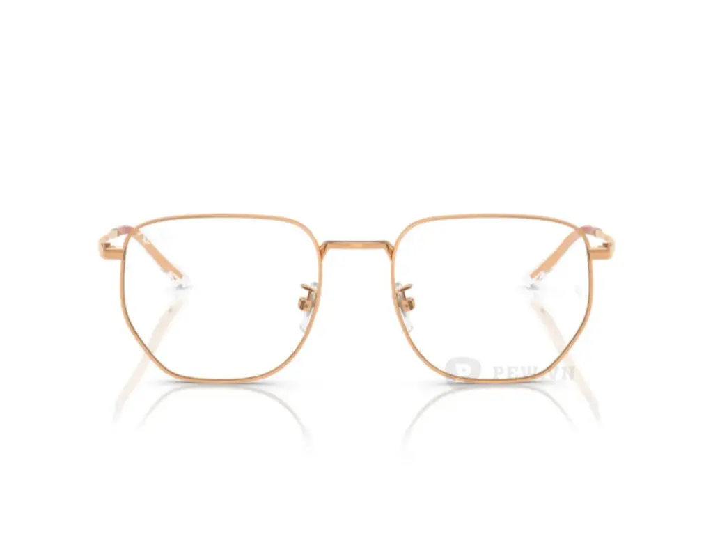 Ray-Ban RX8776D-1248(53)