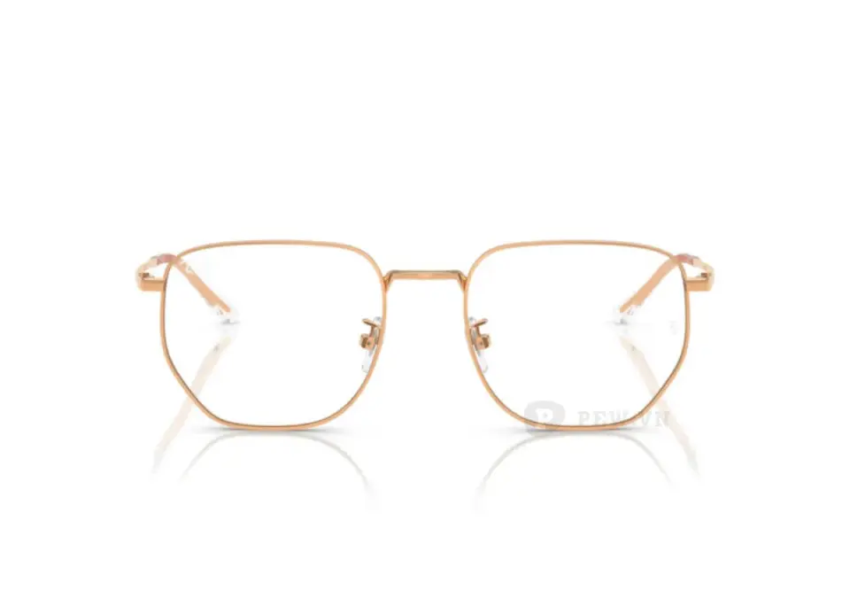 Ray-Ban RX8776D-1248(53)