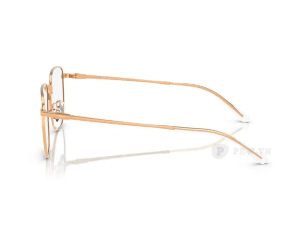 Ray-Ban RX8776D-1248(53)