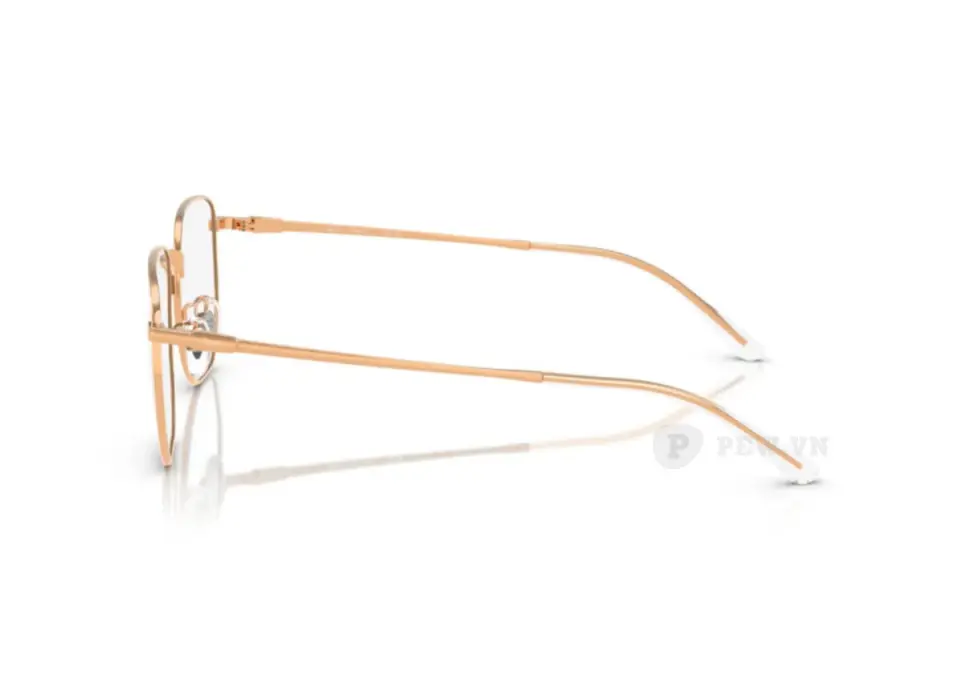 Ray-Ban RX8776D-1248(53)