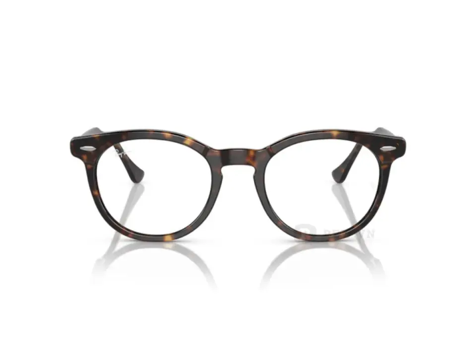 Ray-Ban Eagle Eye RX5598F-2012(51)