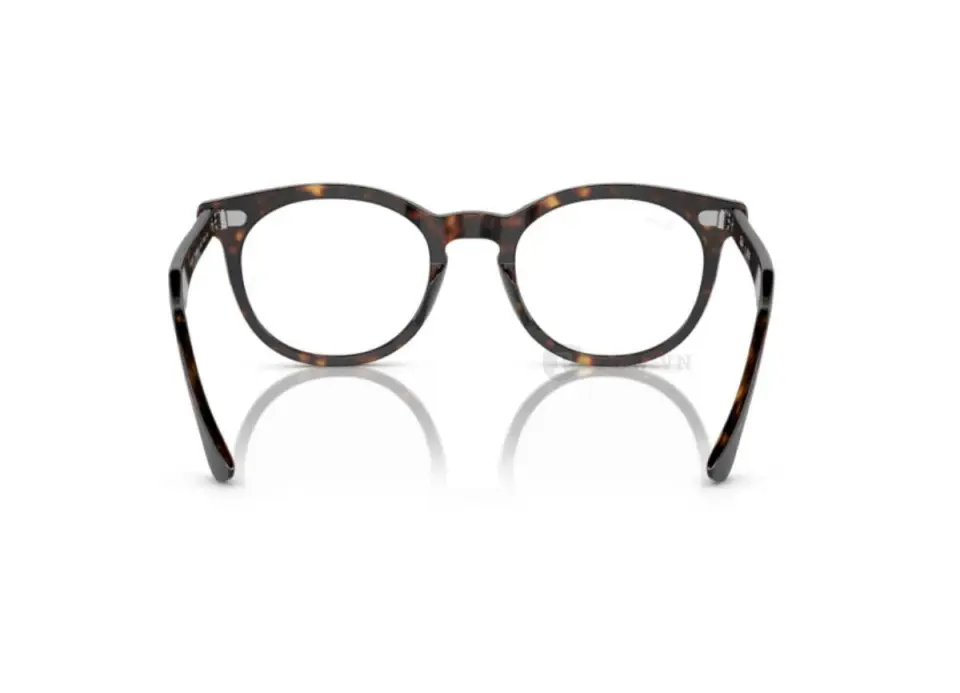 Ray-Ban Eagle Eye RX5598F-2012(51)