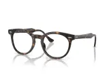 Ray-Ban Eagle Eye RX5598F-2012(51)