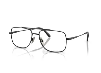 Ray-Ban William Titanium RX8797-1002(56)