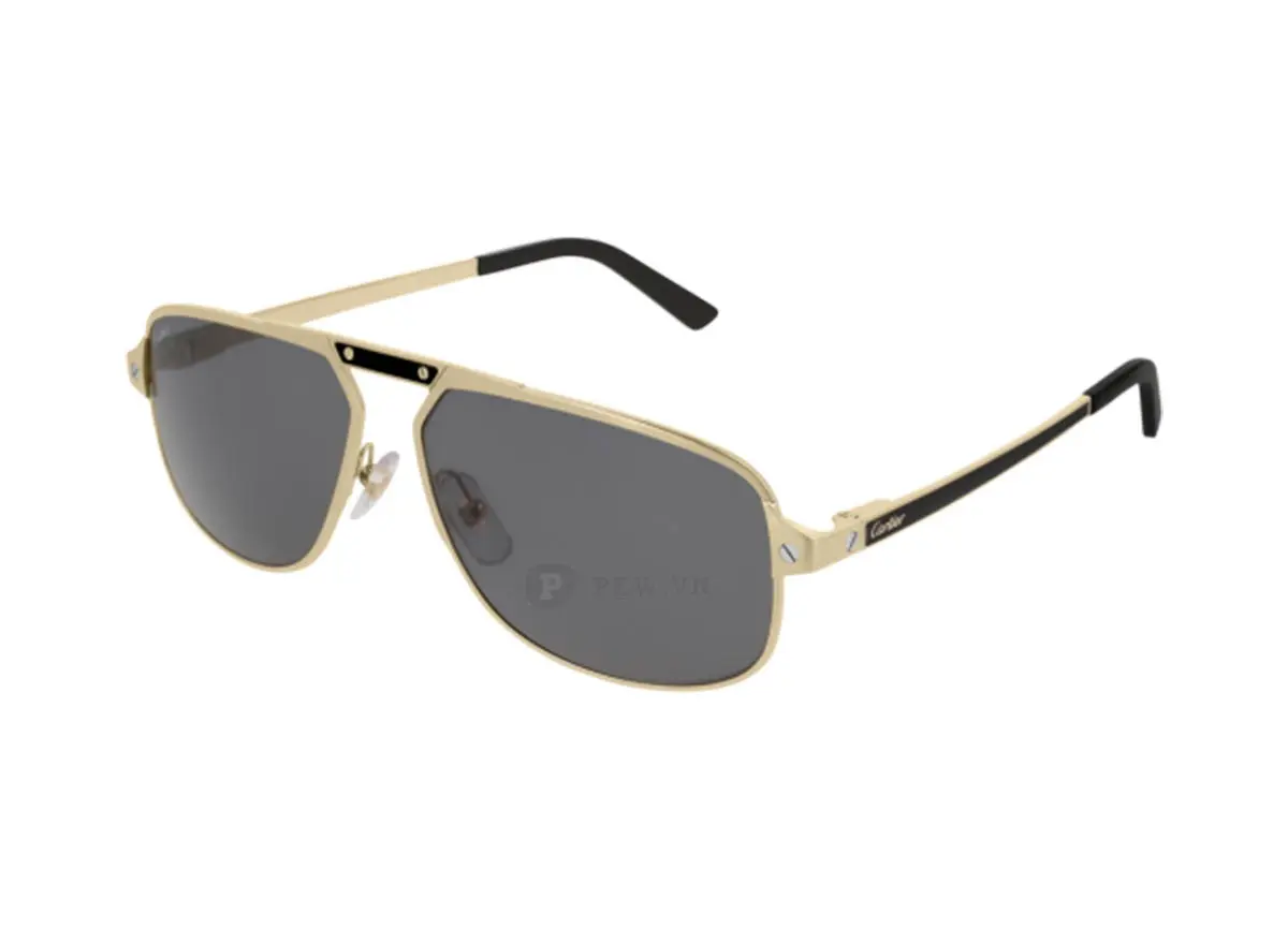 Cartier CT0102S 001 (60)