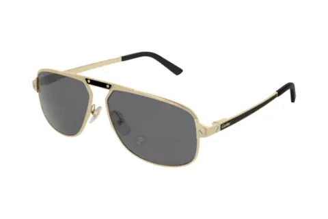 Cartier CT0102S 001 (60)