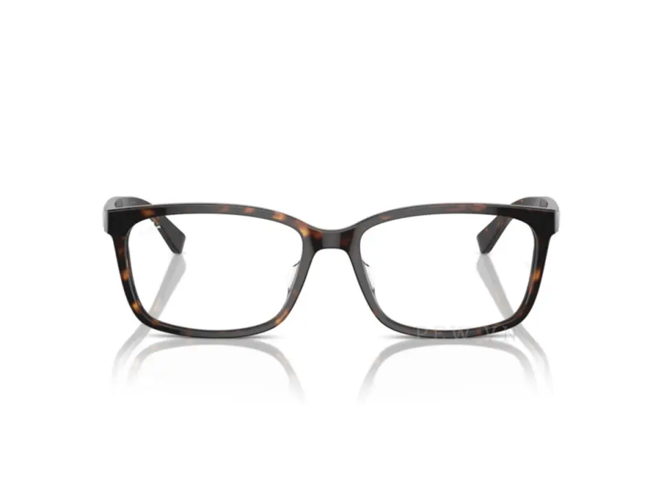 Ray-Ban RX5319D-2012(55)