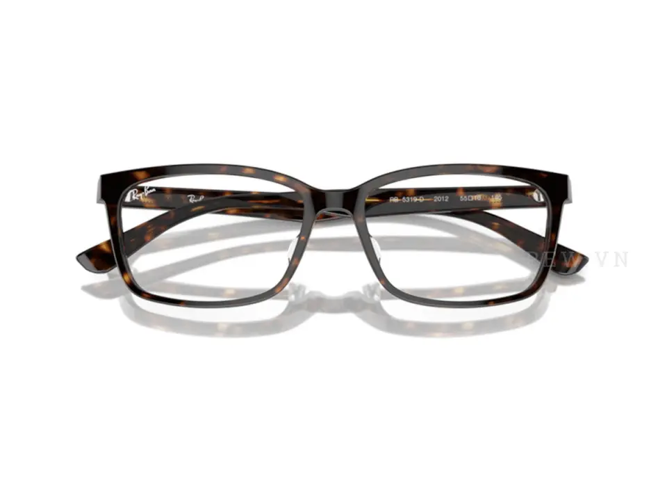 Ray-Ban RX5319D-2012(55)