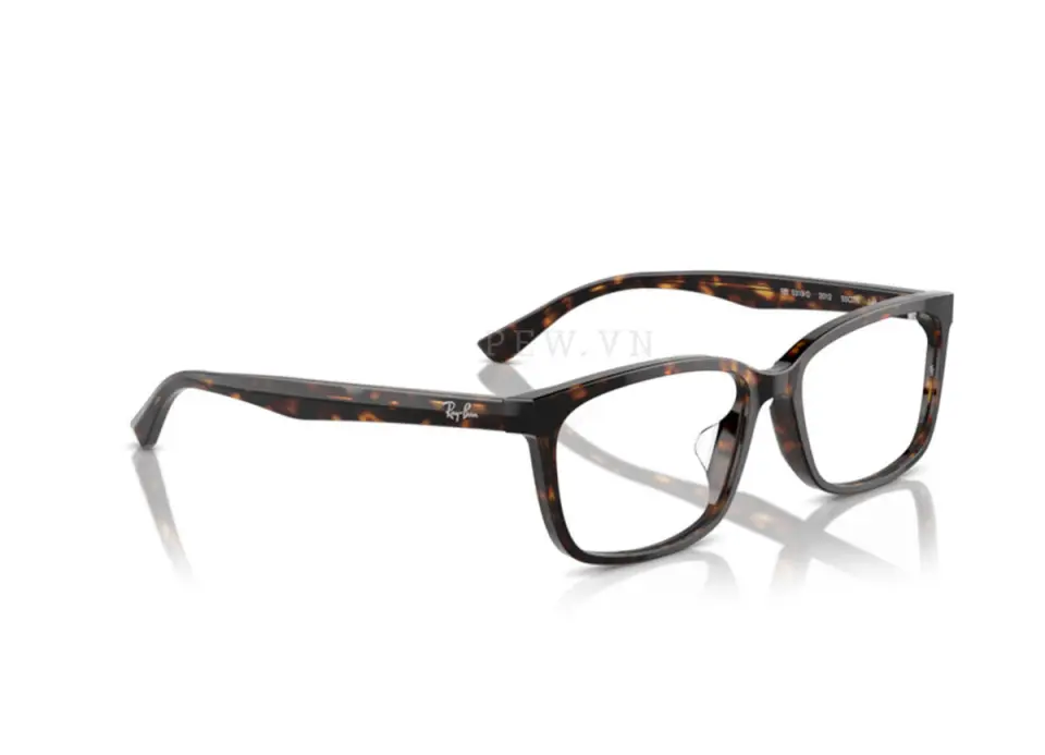 Ray-Ban RX5319D-2012(55)