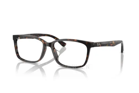 Ray-Ban RX5319D-2012(55)