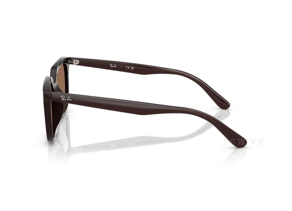 Ray-Ban RB4439D-6231/73(54)