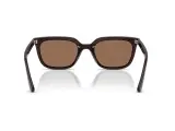 Ray-Ban RB4439D-6231/73(54)