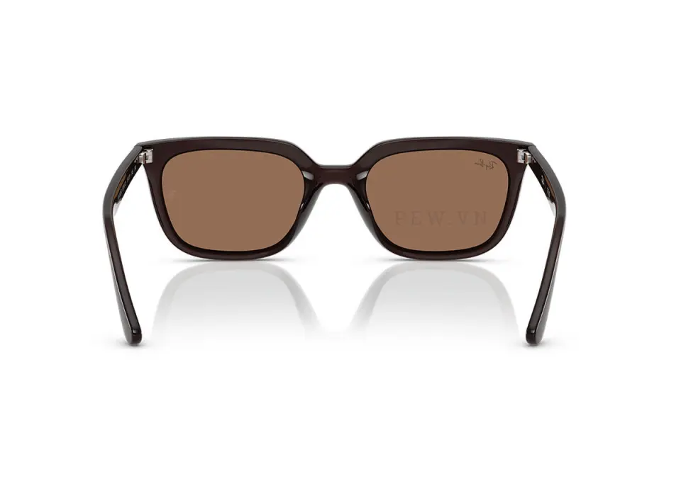 Ray-Ban RB4439D-6231/73(54)