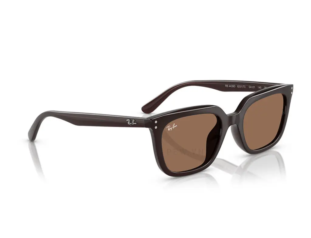 Ray-Ban RB4439D-6231/73(54)