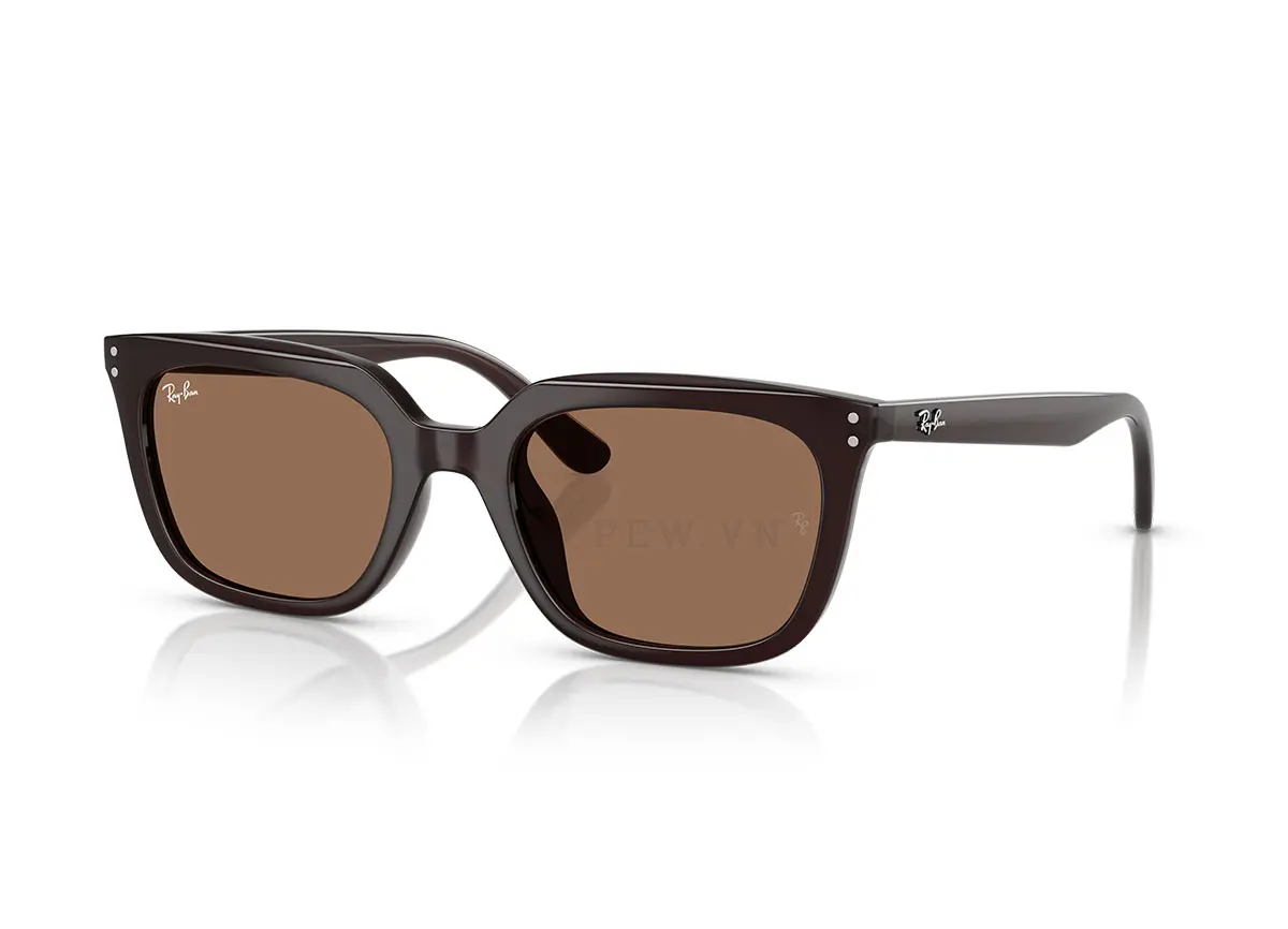 Ray-Ban RB4439D-6231/73(54)